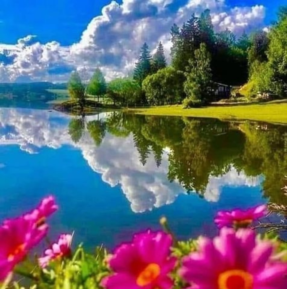 Meet your Posher, Mary